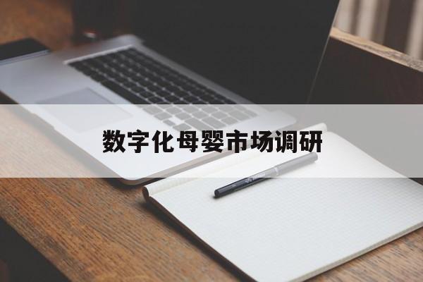 萍乡市数字化母婴市场调研(数字化母婴市场调研报告)